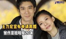 谁爆料王力宏离婚的视频,神秘视频揭露婚姻破裂内幕